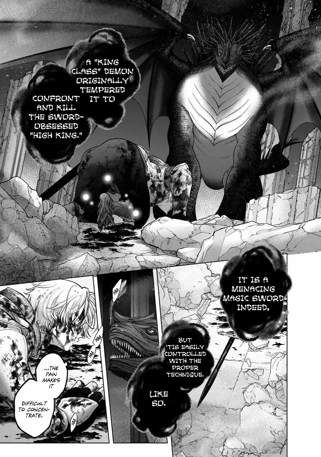 Saihate no Paladin Chapter 59.2 6